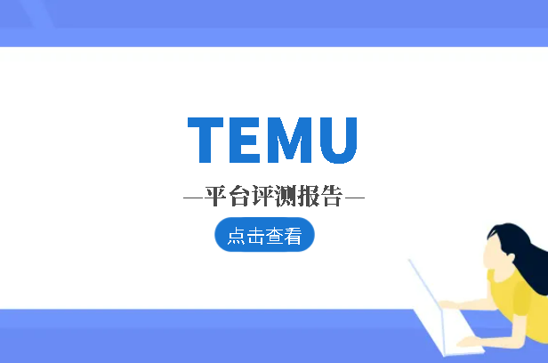TEMU平台评测