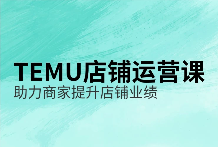 访问temu跨境电商官网