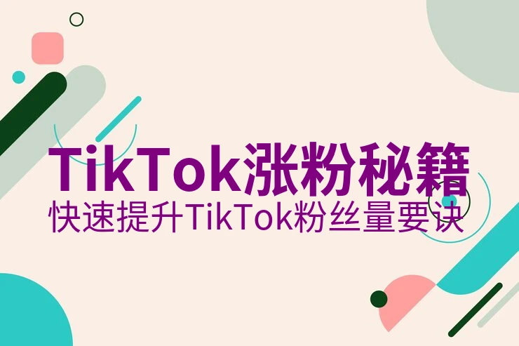 tiktok是什么平台